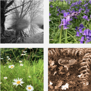 Creative Nature Seasonal Workshops