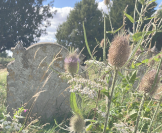 Churchyard Mow & Rake
