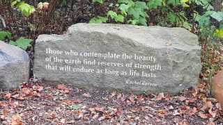 For the beauty of the Earth