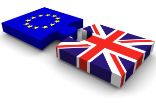 In or Out: The EU referendum