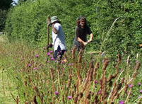 Beating the Bounds - Parish Walk