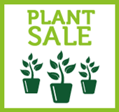 MALGA Plant Sale & Mulbarton Open Gardens