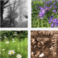 Creative Nature Seasonal Workshops thumbnail